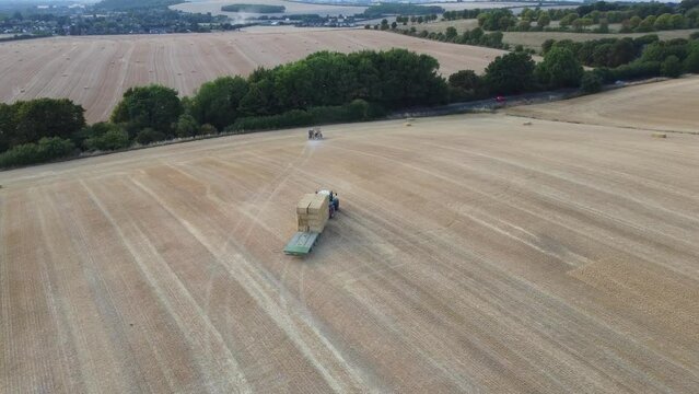 British Agricultural and Harvesting Fields Farms at Sunset Time. High Angle Footage taken with drone's camera on a hot summer day of England. Agricultural Farms and Working Machines at Dunstable Downs