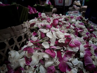 sow flowers or bunga tabur (white and red rose)  to be sown on the grave dark background. selective blurred focus