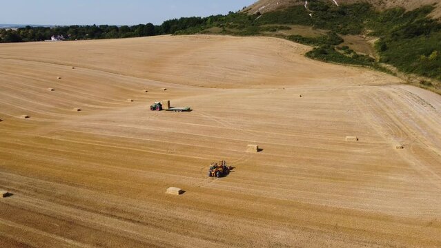 British Agricultural and Harvesting Fields Farms at Sunset Time. High Angle Footage taken with drone's camera on a hot summer day of England. Agricultural Farms and Working Machines at Dunstable Downs