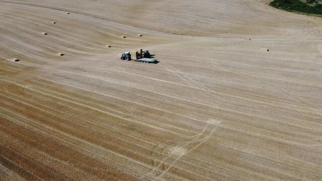 British Agricultural and Harvesting Fields Farms at Sunset Time. High Angle Footage taken with drone's camera on a hot summer day of England. Agricultural Farms and Working Machines at Dunstable Downs