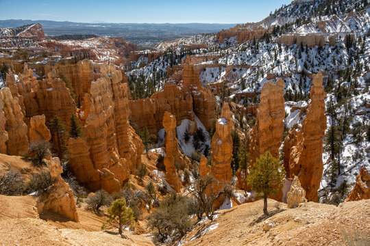 Hoodoos in Front of Snowy Amphitheater in Bryce Canyon