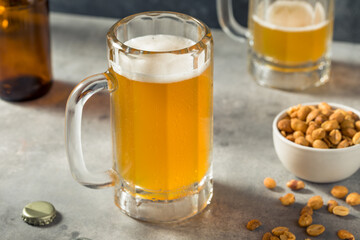 Boozy Refreshing Cold Craft Beer in a Mug