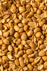 Organic Salted Beer Bar Nuts