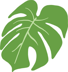 Simplicity monstera leaf freehand drawing flat design.