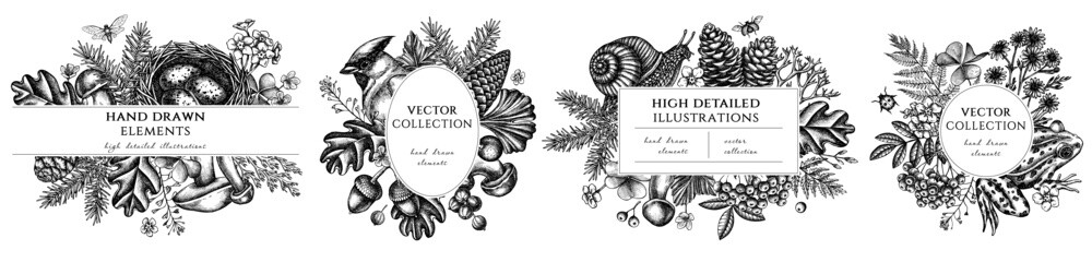 Mysterious forest hand drawn frame templates. Vintage illustrations of waxwing, snail, nest, pool frog, moss, spruce branch, pine cones, chamomile, insect, aspen mushroom, porcini, red currant, oak