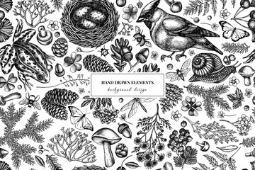 Mysterious forest seamless pattern background design. Engraved style. Hand drawn waxwing, snail, nest, pool frog, moss, spruce branch, pine cones, chamomile, insect, aspen mushroom, red currant, oak