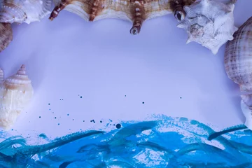 Crédence de cuisine en verre imprimé Cristaux Animal Shell, Summer vacation background, marine pattern.