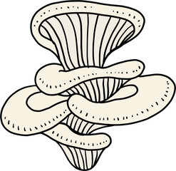 doodle freehand sketch drawing of oyster mushroom vegetable.