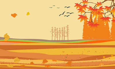 Noth forest at autumn yellow trees and ground landscape  vector