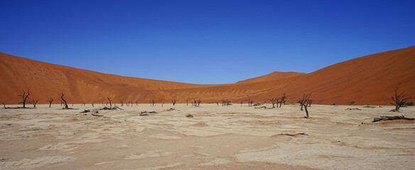 Sossusvlei Desert. Namibia 