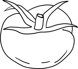 doodle freehand sketch drawing of tomato vegetable. 