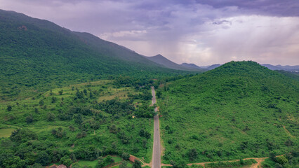 Aerial view of road going through greenery, Roads through the green forest, drone landscape