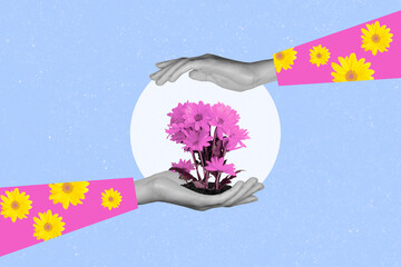 Magazine zine collage of hand holding caring bright pink daisy chamomile isolated on blue painted...
