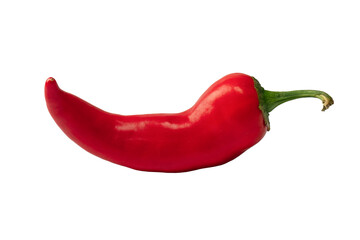 Red hot chili pepper isolated on a white background.