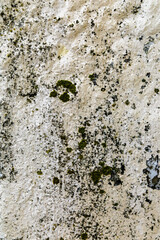 Cracked Plaster Urban Decay Texture Background
