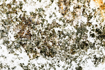 Cracked Plaster Urban Decay Texture Background
