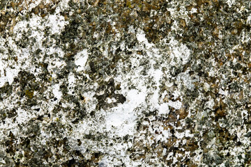 Cracked Plaster Urban Decay Texture Background
