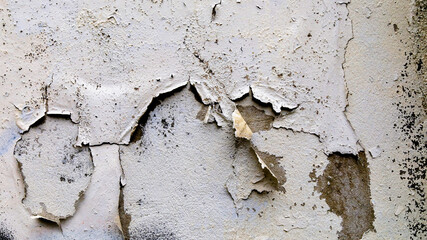Cracked Plaster Urban Decay Texture Background

