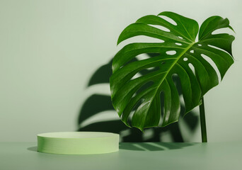 Geometric round display with monstera leaf and shadows. Aesthetic minimal background for cosmetic and product presentation