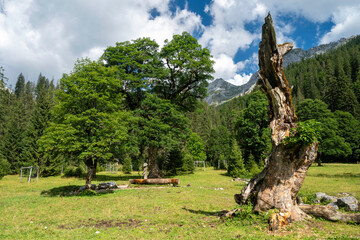 Kleiner Ahornboden im Karwendel