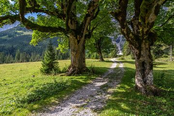 Kleiner Ahornboden im Karwendel