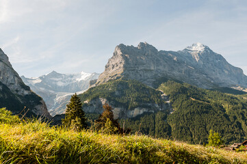 Naklejka premium Grindelwald, Unterer Grindelwaldgletscher, Eiger, Eigernordwand, Schreckhorn, Alpen, fiescherhörner, finsteraarhorn, Berner Oberland, Bergdorf, Bergwiese, Morgensonne, Sommer, Schweiz
