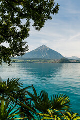Merligen, Niesen, Seeufer, Thunersee, See, Seeufer, Faulensee, Uferweg, Alpen, Schweizer Berge,...