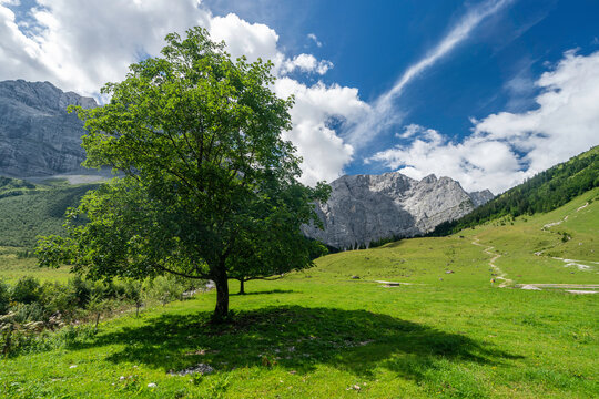 Gro&szlig;er Ahornboden, Karwendel