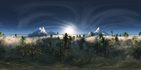 Jungle in the morning, HDRI, environment map , Round panorama, spherical panorama, equidistant projection, panorama 360, 3d rendering © ustas