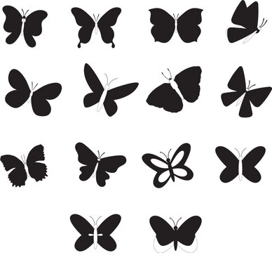 Collection of Butterfly isolated flat vector Silhouettes