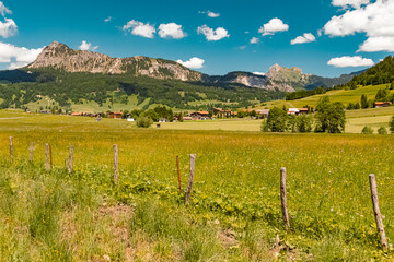 Fototapeta na wymiar Beautiful alpine summer view at the famous Tannheimer Tal valley, Tannheim, Tyrol, Austria