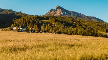 Beautiful alpine summer view at the famous Tannheimer Tal valley, Tannheim, Tyrol, Austria