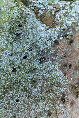 Urban Stone Grunge Texture Background