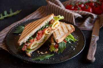 Toast sandwich with cheese, tomatoes and vegetables