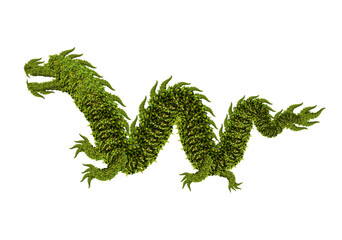 Dragon tree isolated transparency background.made by bushes shape.