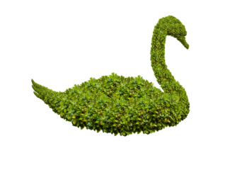 swan shaped bushes isolated transparency background.