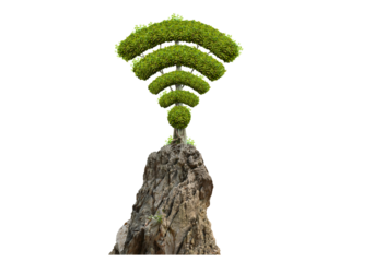 Tree wifi symbol, made by bushes shape...