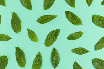 Fresh green mint leaves background. Top view.