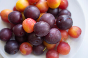 yellow and purple plums on a white plate. Isolate, healthy fruit dessert, cherry plum. Delicious snack, seasonal harvest. Fruits on white, fruit plate of plums