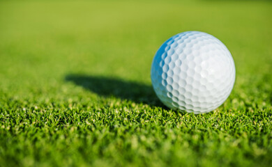 White Golf Ball on a Grassy Course Lawn