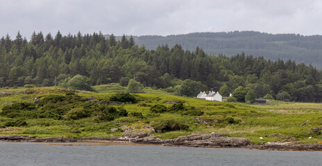 Beautiful pasture land and forest on the ocean shores of Scotland's mainland with sheep grazing and white farm houses.