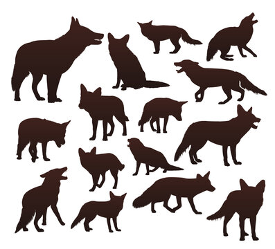 Set of wild fox silhouettes