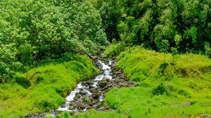 French Polynesia Moorea Tahiti Fakarava
