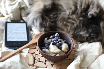 breakfast in bed,dumplings with blueberries on wooden plate, cat sleeping