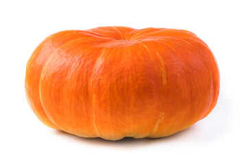Ripe pumpkin isolated on a white background. Side view, close-up