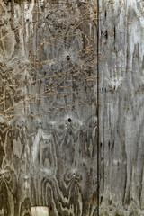 Urban Wood Grunge Texture Background