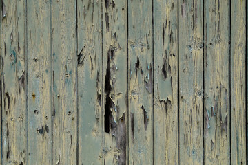 Urban Wood Grunge Texture Background
