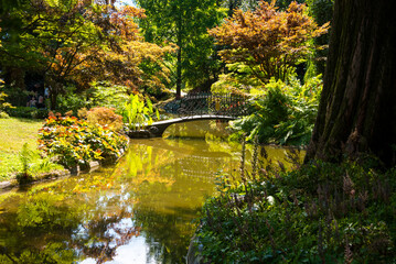 Pond in a garden with a bridge and beautiful trees