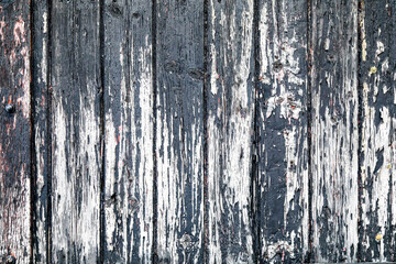 Urban Wood Grunge Texture Background
