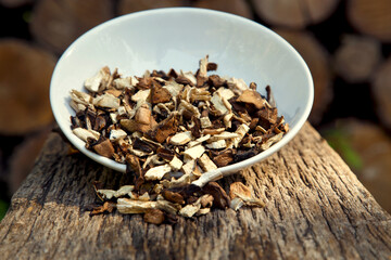 Dried natural porcini mushrooms in a plate. White mushrooms in a bowl on a wooden background. The concept of vegetarianism, restaurants, healthy eating.